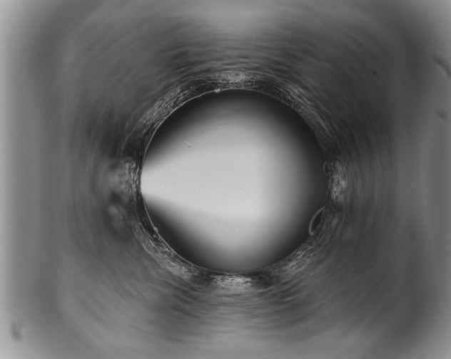 X0000100780476200806261633