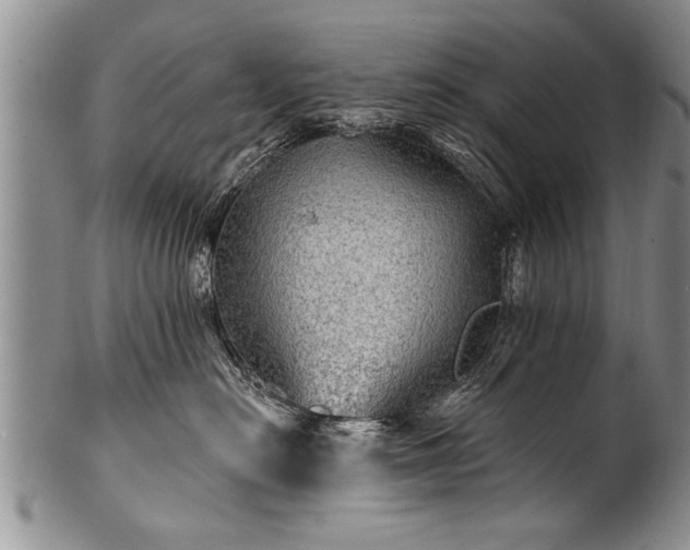 X0000100780478200806261633