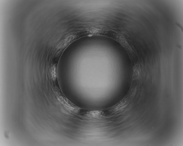 X0000100780479200806261633