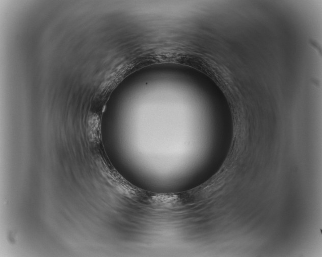 X0000100780480200806261633