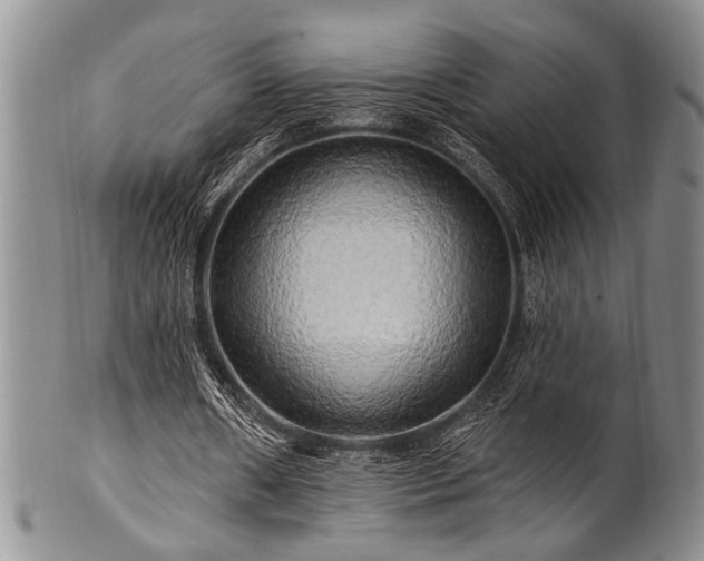 X0000100780482200806261633