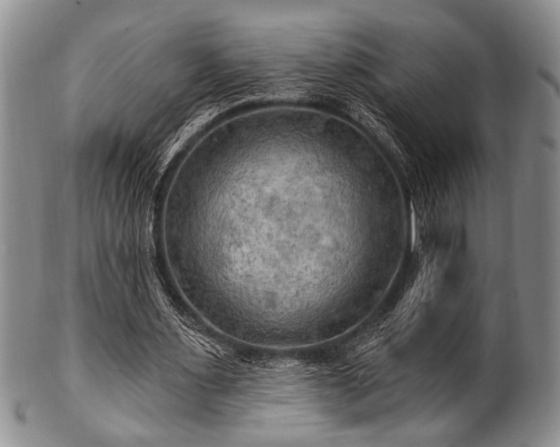 X0000100780483200806261633