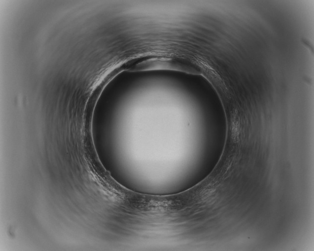 X0000100780484200806261632