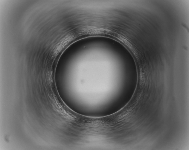 X0000100780485200806261632