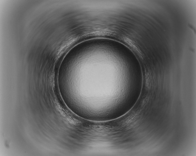 X0000100780486200806261632