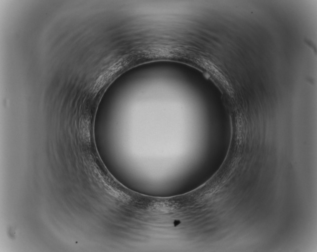 X0000100780489200806261632