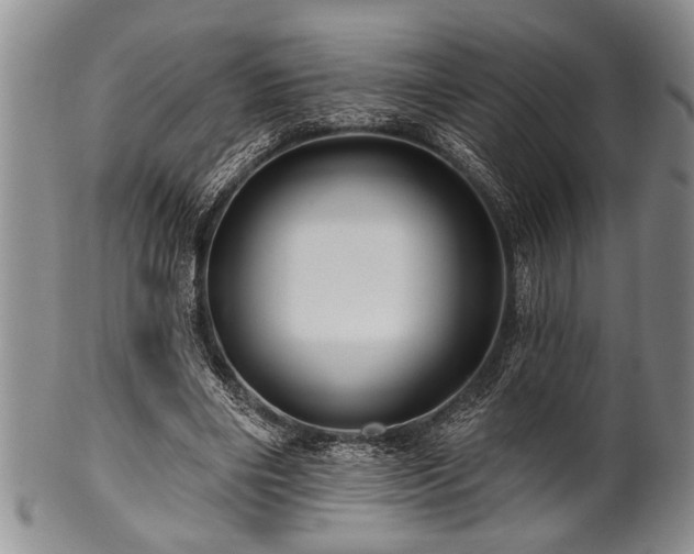 X0000100780490200806261632