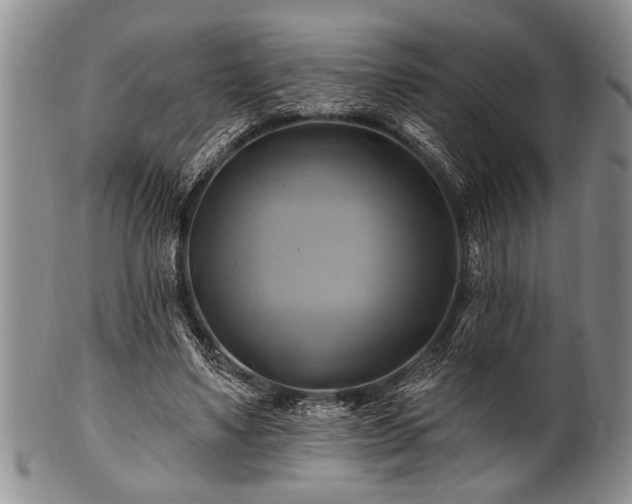 X0000100780491200806261632