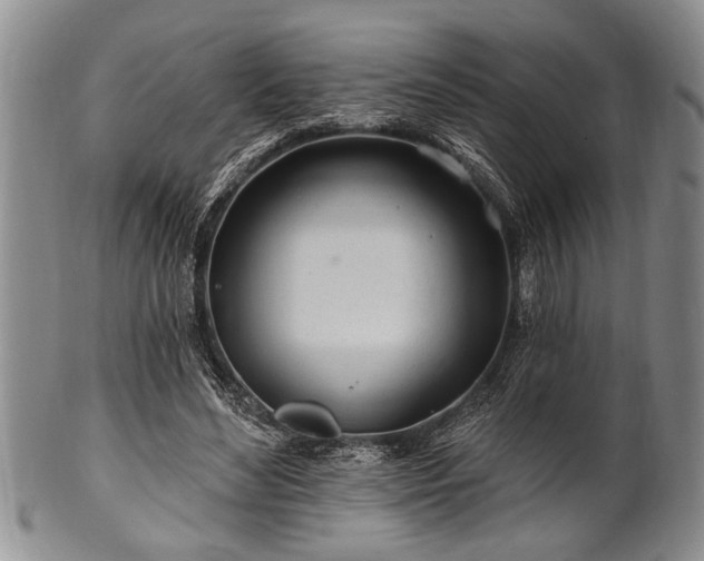 X0000100780492200806261632