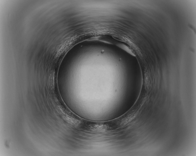 X0000100780493200806261632