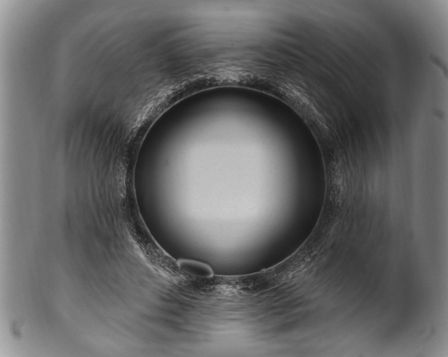 X0000100780496200806261632