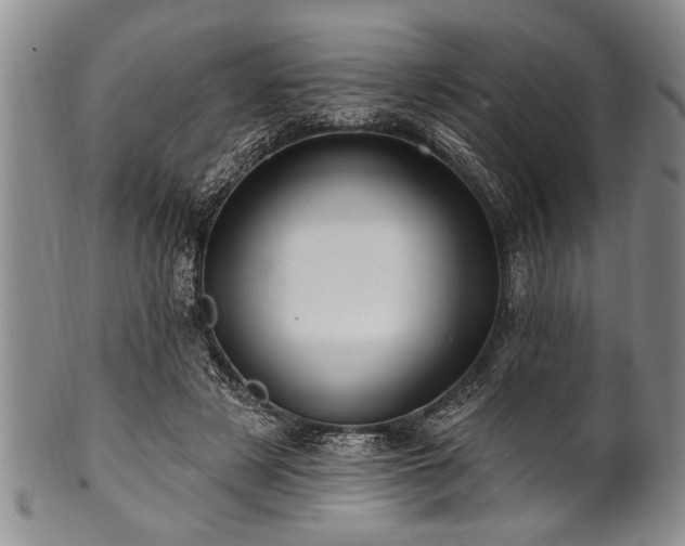 X0000100780497200806261632