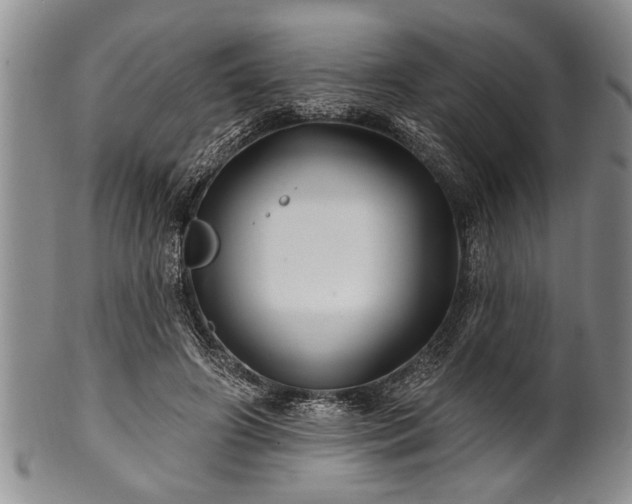 X0000100780498200806261632