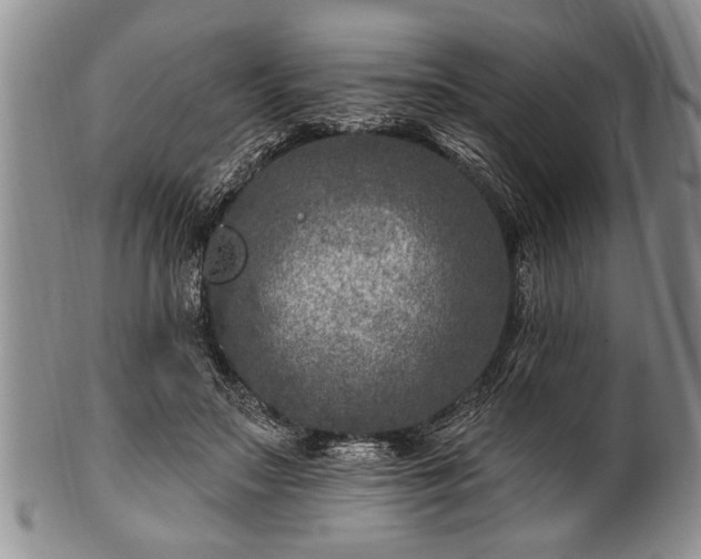 X0000100780499200806261632