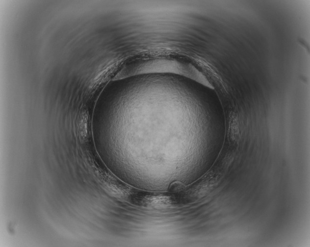 X0000100780501200806261632