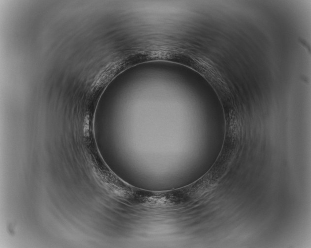 X0000100780502200806261632