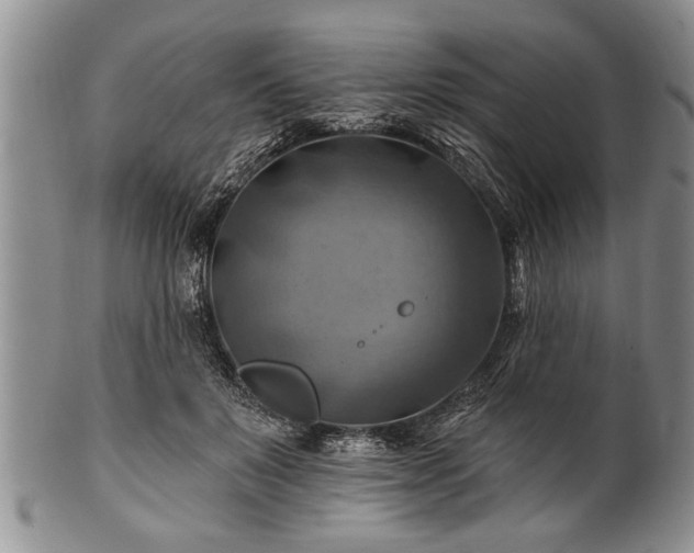 X0000100780503200806261632