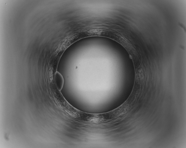 X0000100780504200806261632