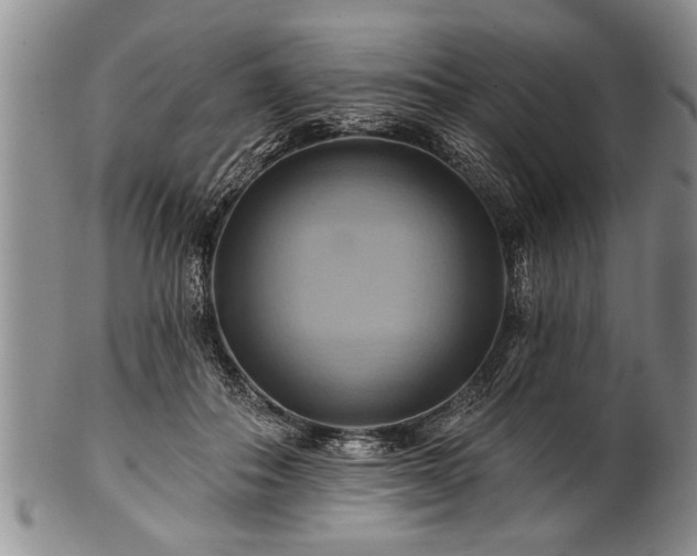 X0000100780506200806261632