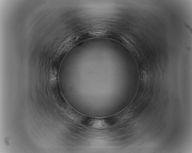 X0000100780507200806261632