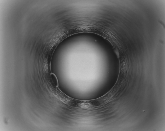 X0000100780508200806261632