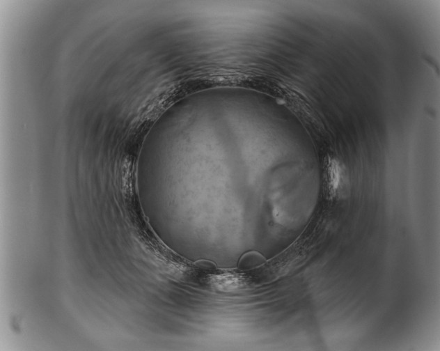 X0000100780511200806261632