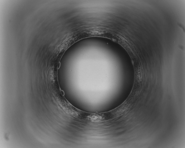 X0000100780512200806261632