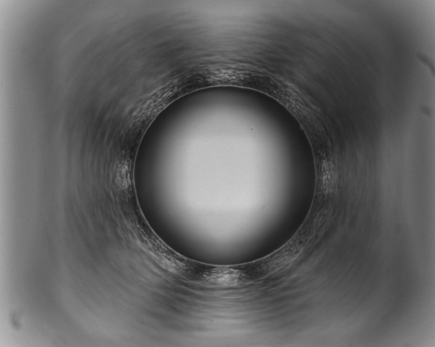 X0000100780514200806261632