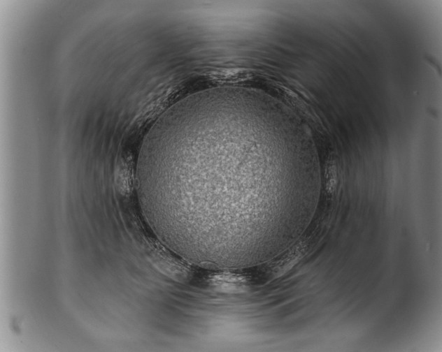 X0000100780515200806261632