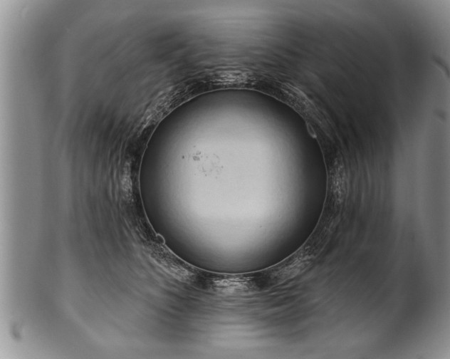 X0000100780516200806261632