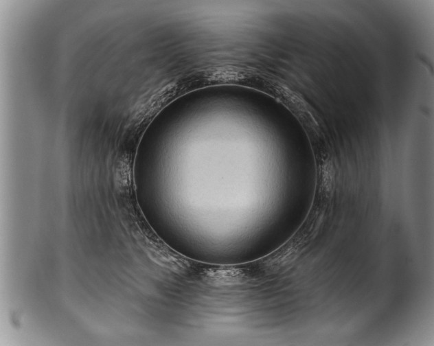 X0000100780517200806261632