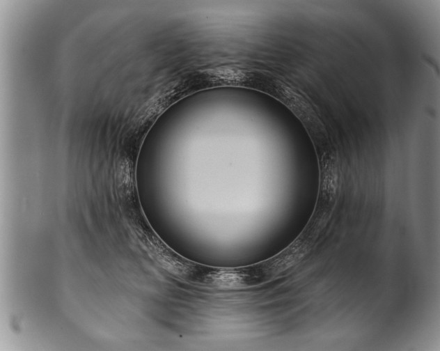 X0000100780518200806261632