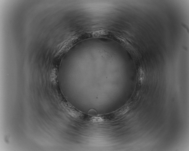 X0000100780519200806261632