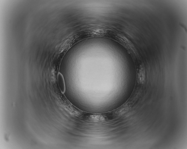 X0000100780520200806261632