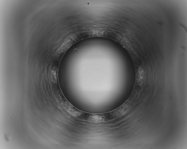 X0000100780522200806261632