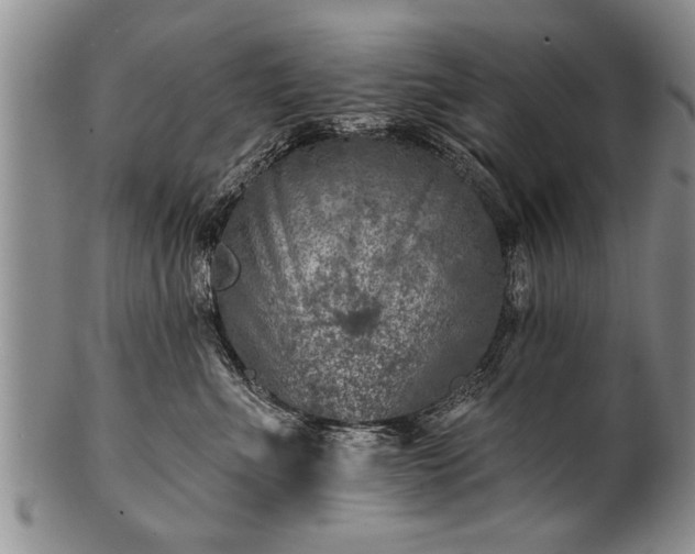 X0000100780523200806261632