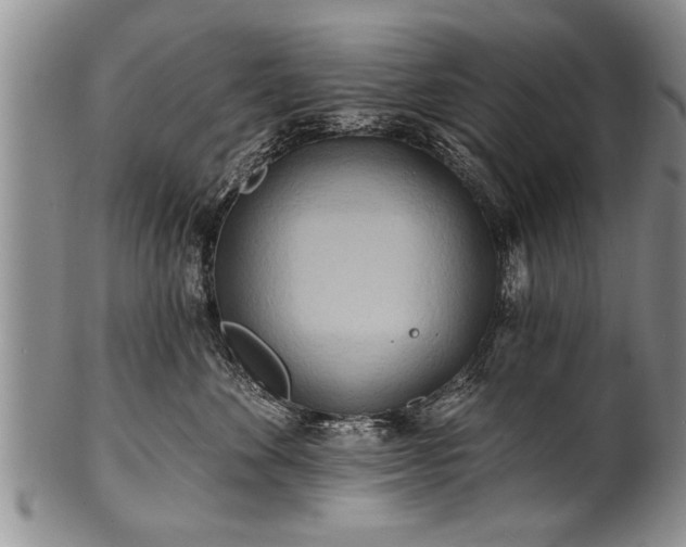 X0000100780524200806261632