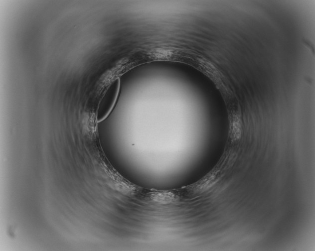 X0000100780525200806261632