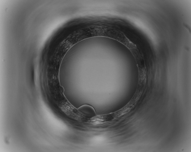 X0000100780526200806261632