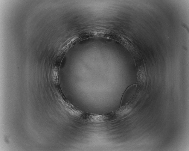 X0000100780527200806261632