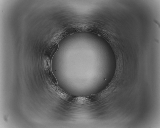 X0000100780528200806261632