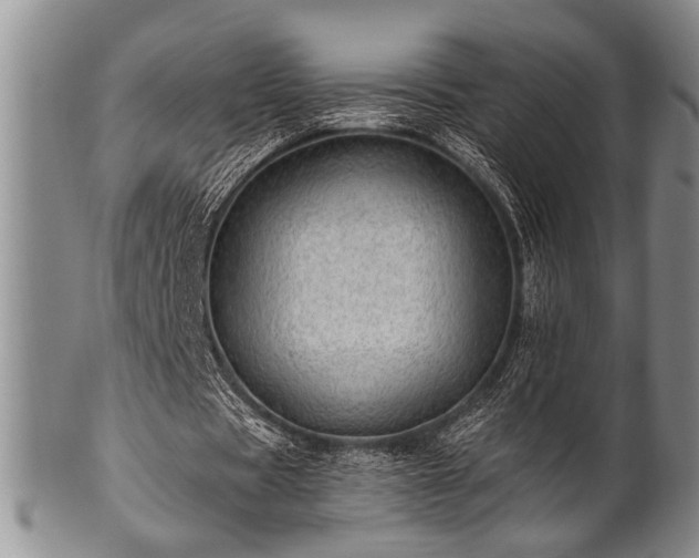 X0000100780529200806261631