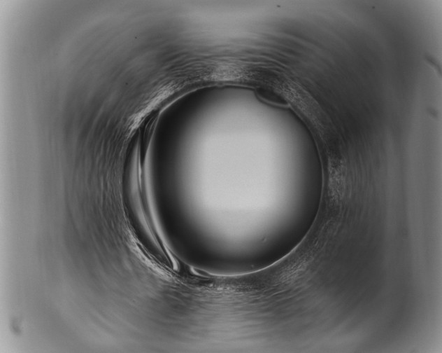 X0000100780530200806261631