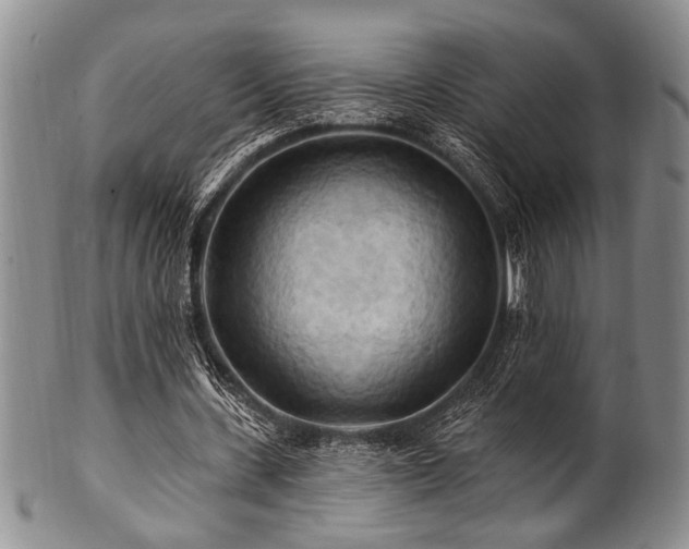 X0000100780531200806261631