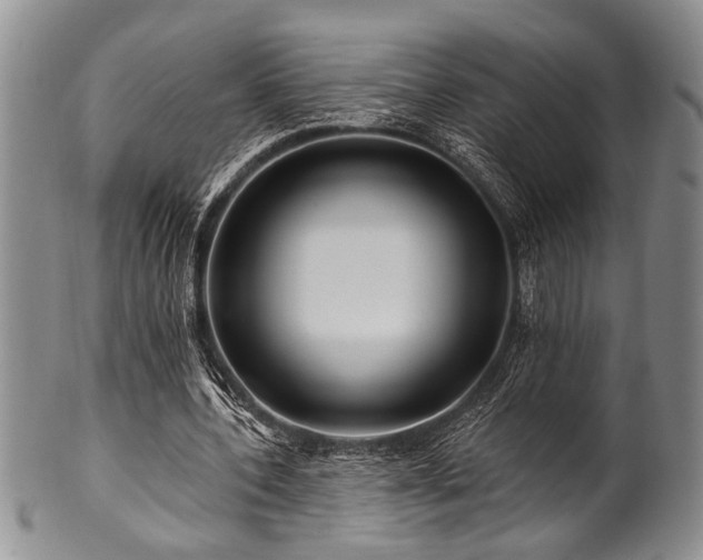 X0000100780532200806261631