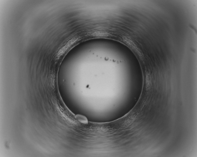 X0000100780533200806261631