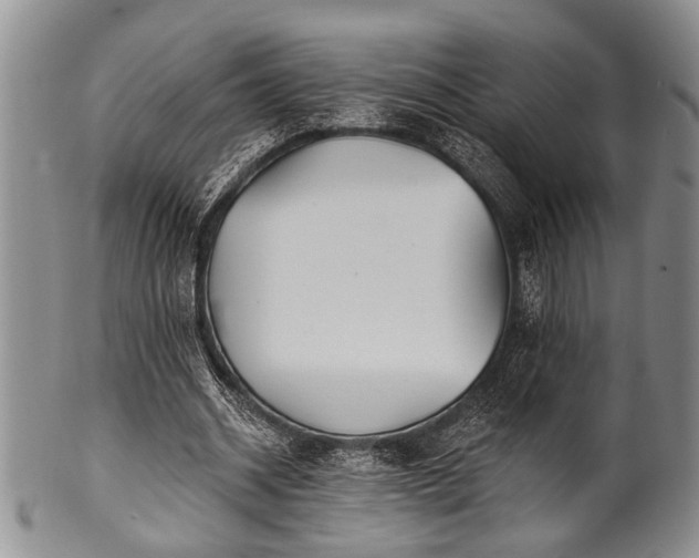 X0000100780534200806261631