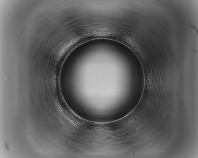 X0000100780535200806261631