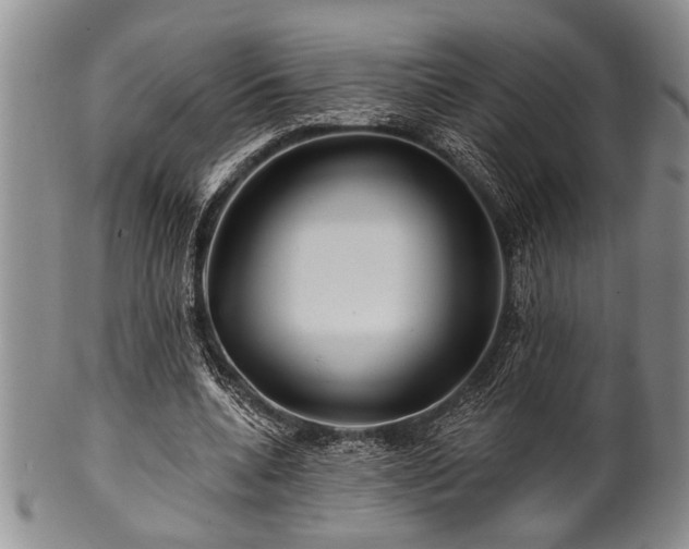 X0000100780536200806261631