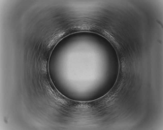 X0000100780537200806261631